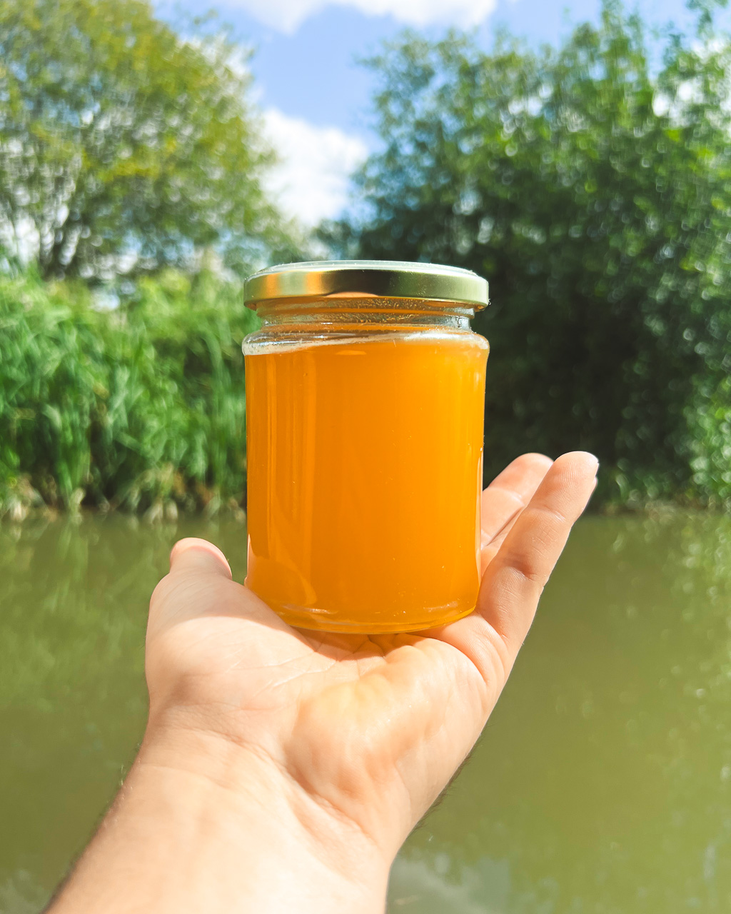 Spring Honey